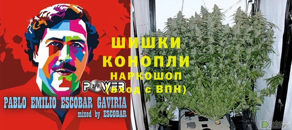 крисы Алексеевка