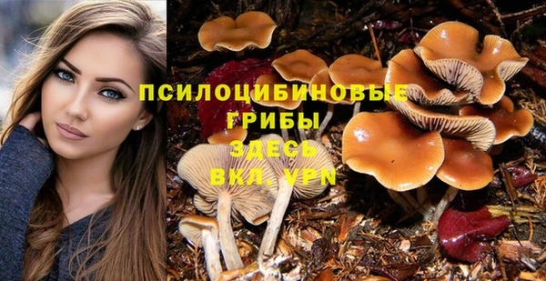 крисы Алексеевка